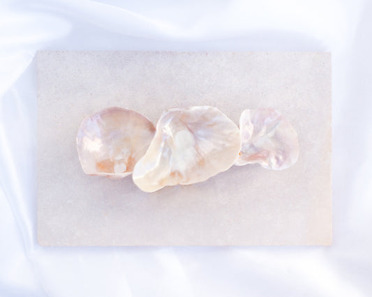 Jingle Shell Hair clip. pearly shell Hair Clip Barrette, Boho Seashell Beach Clip from Portugal, Handpicked Real Shells, Seashell Hair Decoration, Bohemian Seashell Wedding Hair Assocciares, Coastal Christmas gift, Beach Wedding Hair