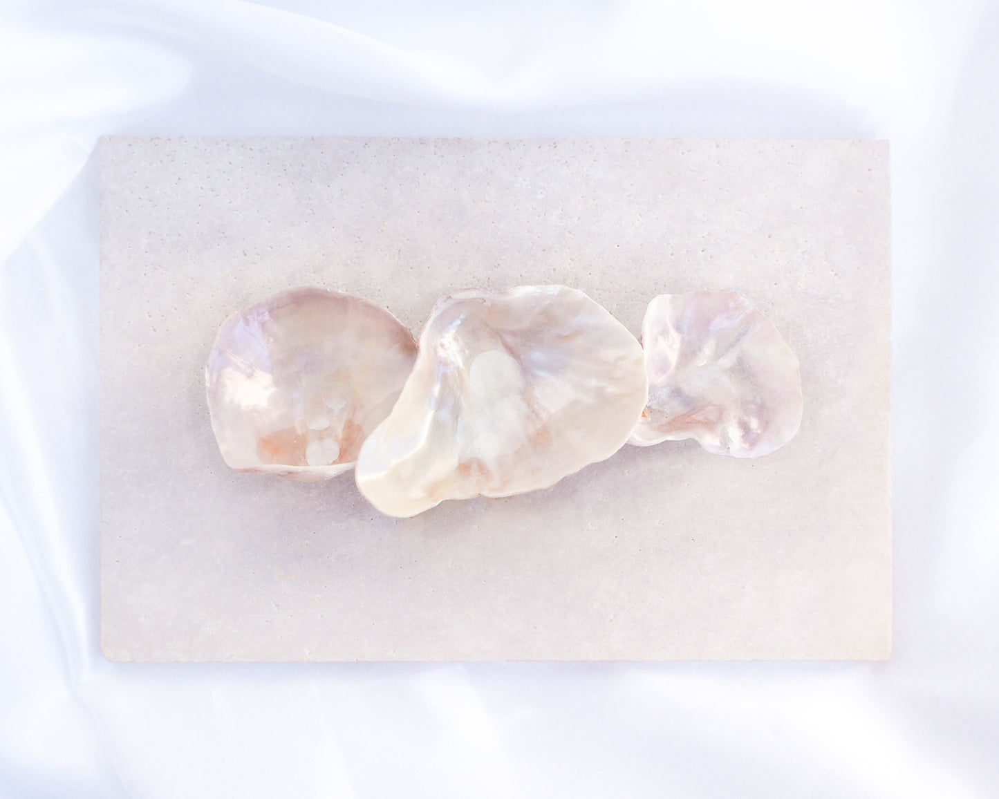 Jingle Shell Hair clip. pearly shell Hair Clip Barrette, Boho Seashell Beach Clip from Portugal, Handpicked Real Shells, Seashell Hair Decoration, Bohemian Seashell Wedding Hair Assocciares, Coastal Christmas gift, Beach Wedding Hair