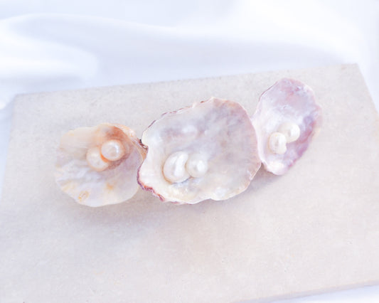 Jingle Shell Pearl Hair clip. pearly shell Hair Clip Barrette on stone displayed, Boho Seashell Beach Clip from Portugal, Handpicked Real Shells, Seashell Hair Decoration, Bohemian Seashell Wedding Hair Assocciares, Coastal Christmas gift, Beach Wedding Hair