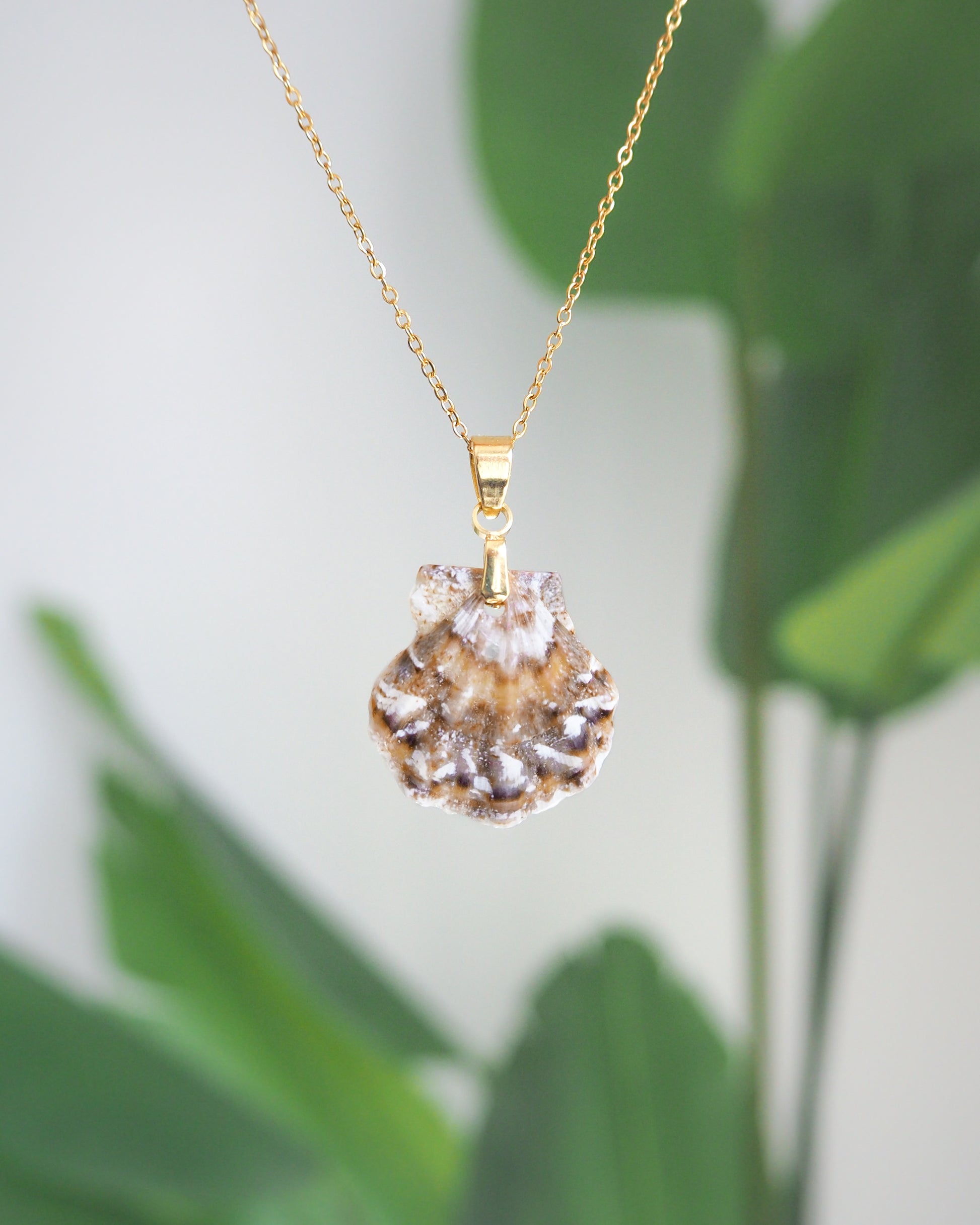 Front view of Brown White Scallop Shell Necklace with green plant background, Brown White Leopard Scallop Shell from Portugal, 18k gold stainless steel chain, Flexopecten flexuosus shell necklace