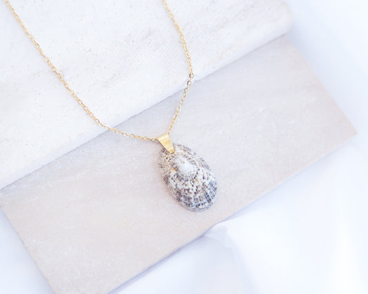 Light Keyhole Limpet Shell Necklace displayed on stone, made with 18k gold stainless steel chain and handpicked from Portugal. 