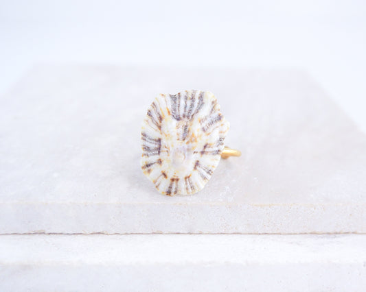 Close up front view of Light Limpet Shell Gold Ring from Portugal on stone display, Handpicked Rough Limpet Shell from Portugal, Gold Stainless Steel ring with Limpet Shell