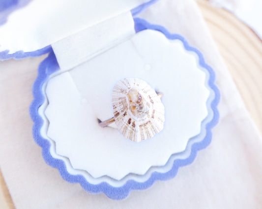 Light Limpet Shell V Gold Ring from Portugal on stone display, Handpicked Rough Limpet Shell from Portugal, Gold Stainless Steel ring with Limpet Shell