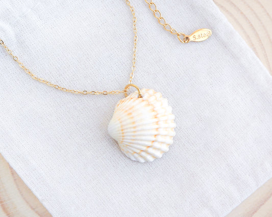 Gold Light Mediterranean Cockle Shell on display Necklace, Sunny Yellow Shell from Portugal