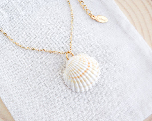 Gold Light Mediterranean Cockle Shell on display Necklace horizontal on display, Sunny Yellow Shell from Portugal