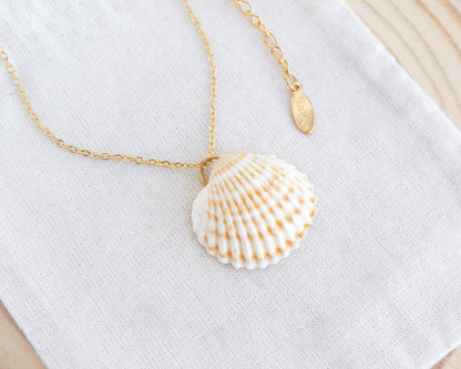 Mediterranean Cockle Shell pendant necklace from Portugal on a gold chain against a light background