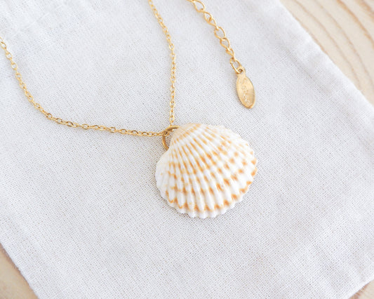 Mediterranean Cockle Shell pendant necklace from Portugal on a gold chain against a light background