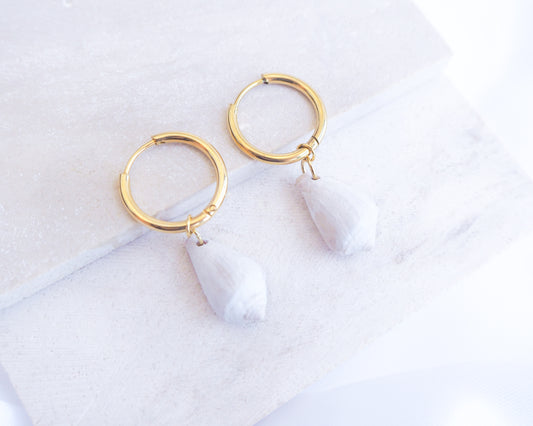 Light Mediterranean Cone Shell Gold Earring Hoops displayed on stone, handpicked cone shells from Portugal, 18k gold stainless steel shell earring hoops, seabylou 