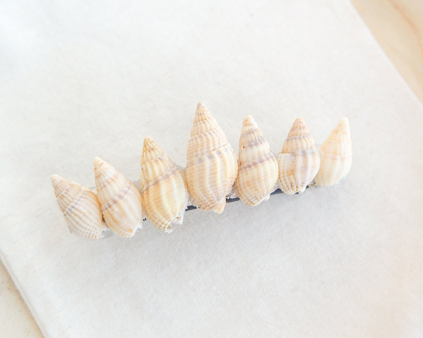Light Netted Dog Whelk Shells Hair Clip Barrette on displayed, Boho Seashell Beach Clip from Portugal, Handpicked Real Shells, Seashell Hair Decoration, Bohemian Seashell Wedding Hair accessories, Coastal Christmas gift, Beach Wedding Hair