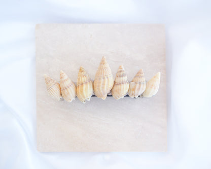 Light Netted Dog Whelk Shells Hair Clip Barrette displayed on stone, Boho Seashell Beach Clip from Portugal, Handpicked Real Shells, Seashell Hair Decoration, Bohemian Seashell Wedding Hair accessories, Coastal Christmas gift, Beach Wedding Hair