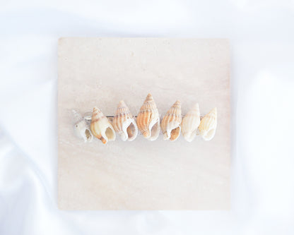 Light Netted Dog Whelk Shells Hair Clip Barrette II displayed on stone, Boho Seashell Beach Clip from Portugal, Handpicked Real Shells, Seashell Hair Decoration, Bohemian Seashell Wedding Hair accessories, Coastal Christmas gift, Beach Wedding Hair