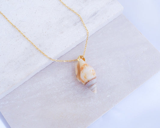 Light Rustic Dove Shell Gold Necklace on display, Tiny shell from Portugal 