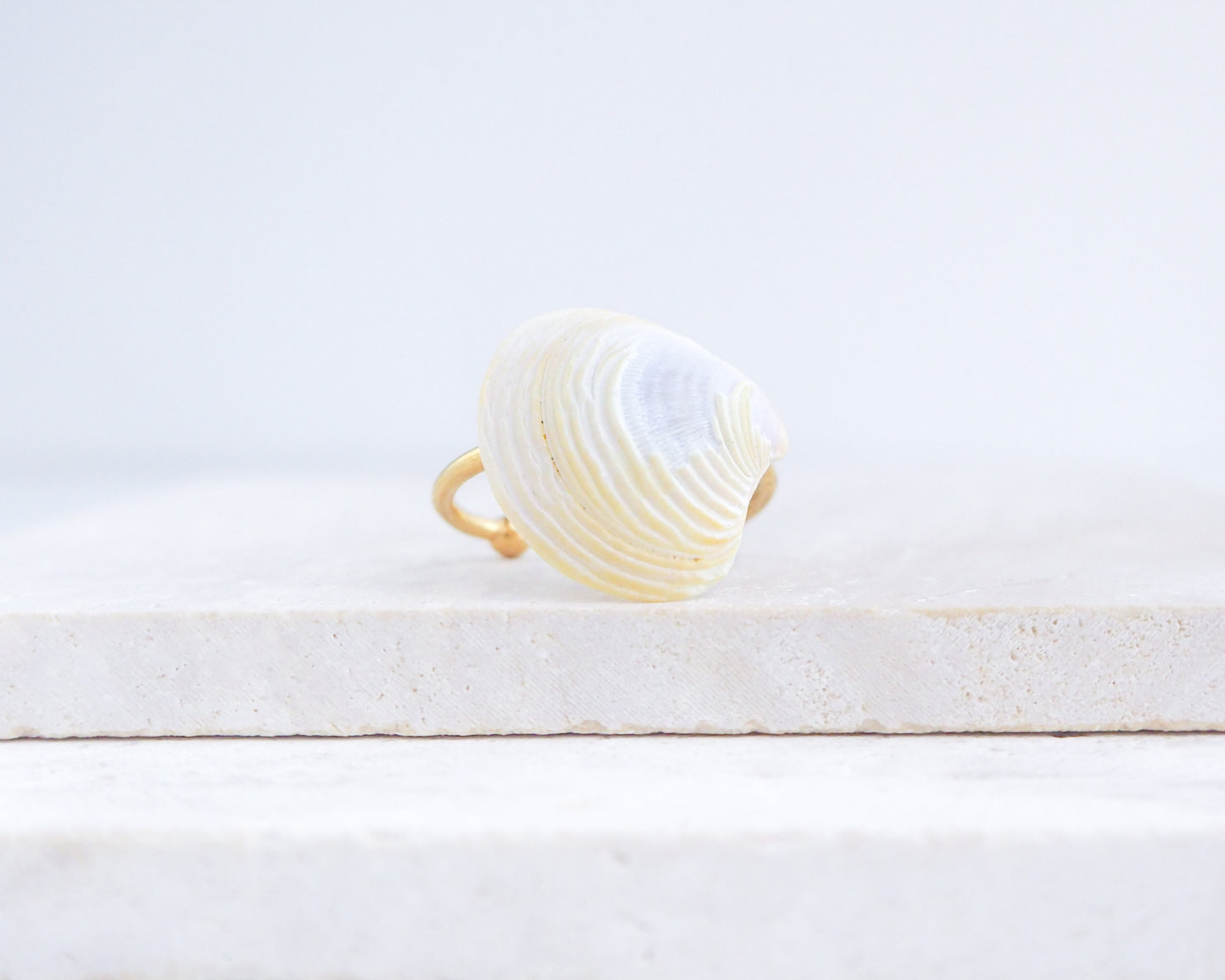Light Venus Shell Gold Ring from Portugal displayed on stone front view