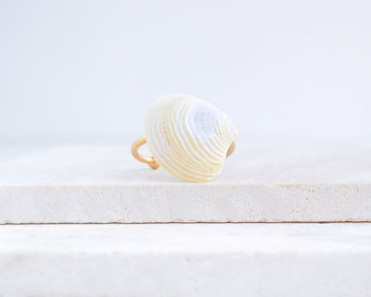 Light Venus Shell Gold Ring from Portugal displayed on stone front view
