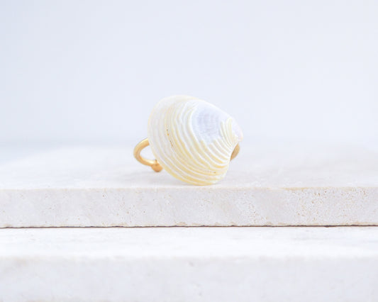 Light Venus Shell Gold Ring from Portugal displayed on stone front view