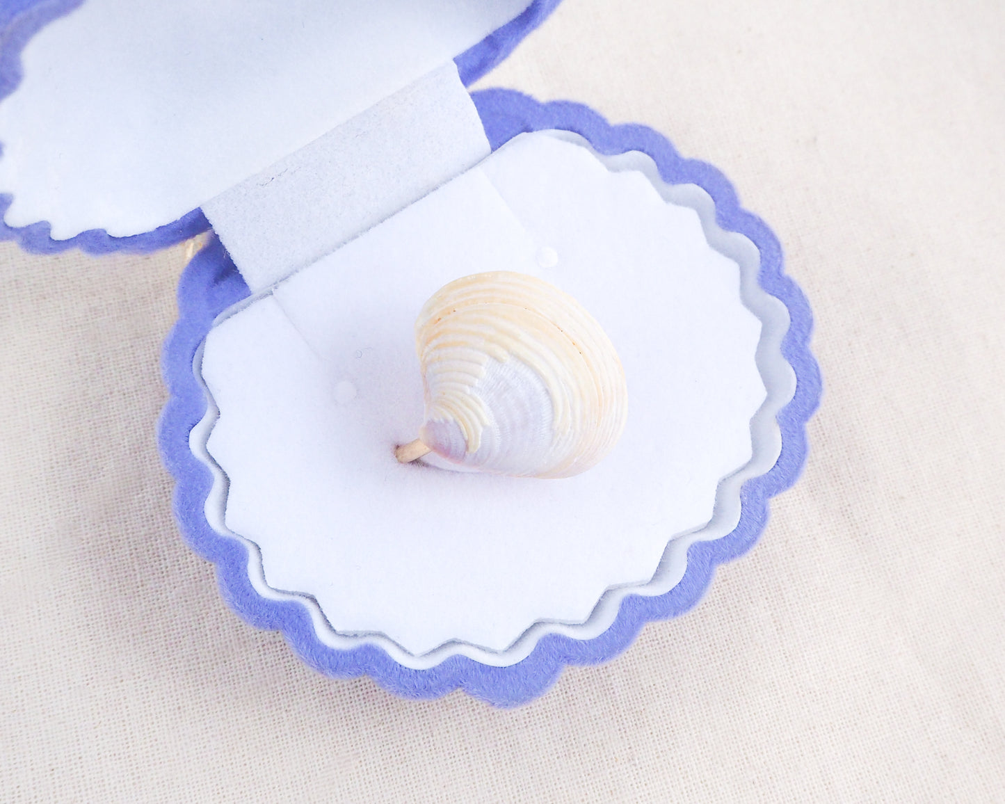 Light Venus Shell Gold Ring from Portugal in blue seashell jewelry box