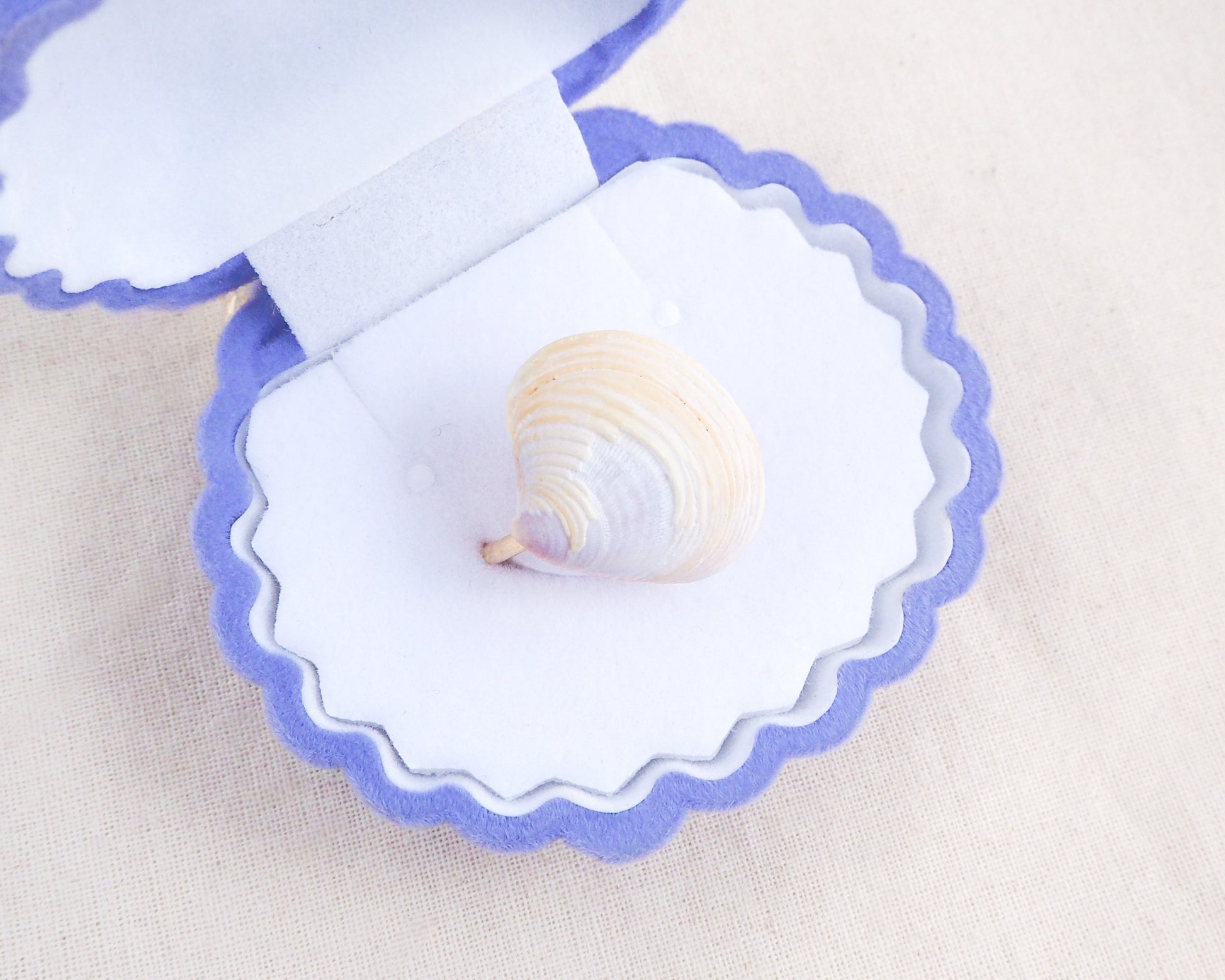 Light Venus Shell Gold Ring from Portugal in blue seashell jewelry box