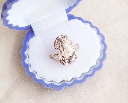Limpet Shell Gold Adjustable Ring from Portugal in velvet box displayed