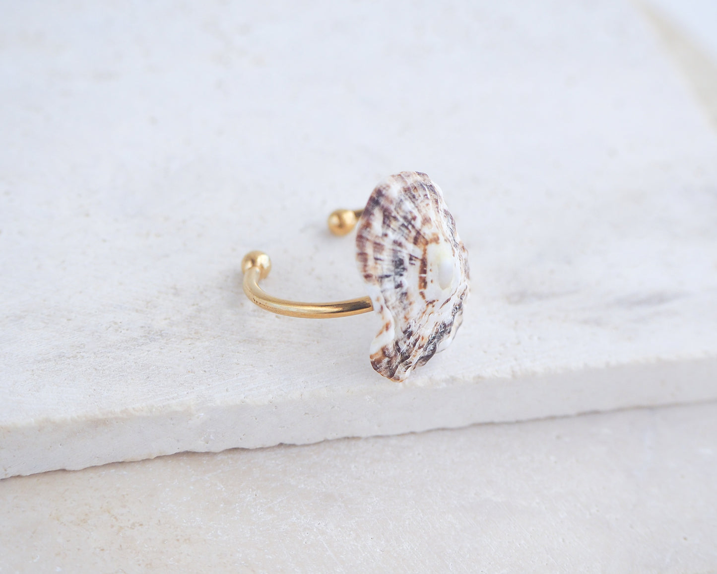 Side view of Limpet Shell Gold Adjustable Ring from Portugal on stone displayed