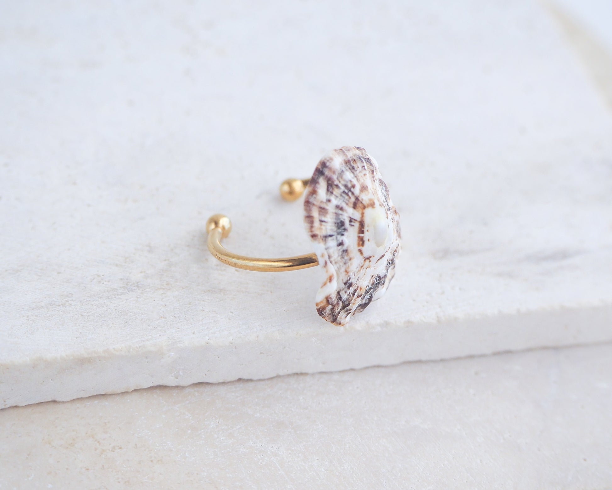 Side view of Limpet Shell Gold Adjustable Ring from Portugal on stone displayed