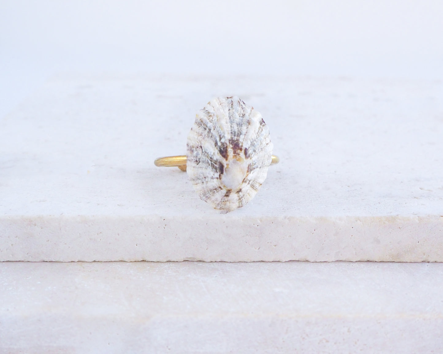 Limpet Shell Gold Ring from Portugal on display