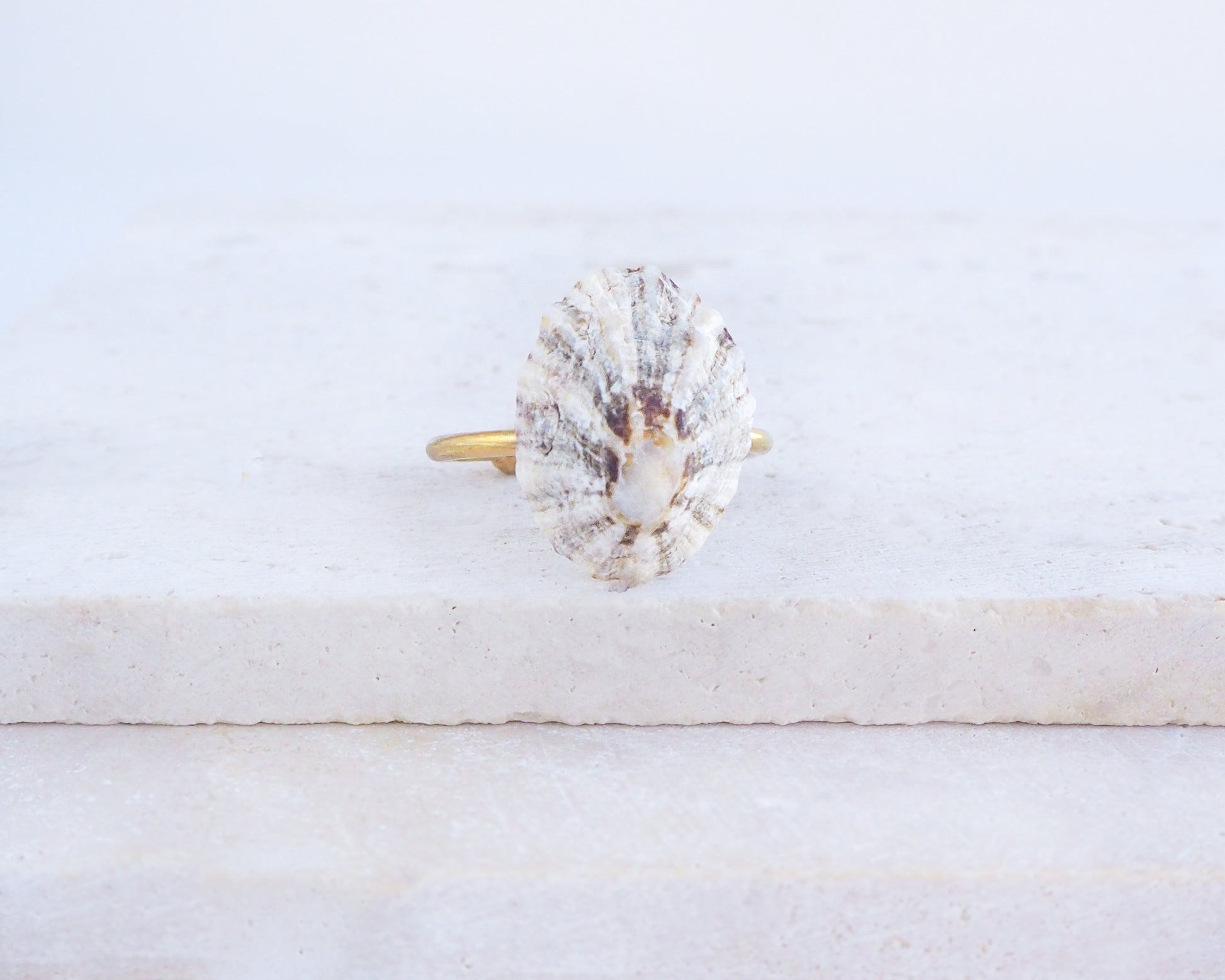 Limpet Shell Gold Ring from Portugal on display