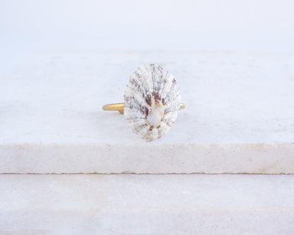 Limpet Shell Gold Ring from Portugal on display