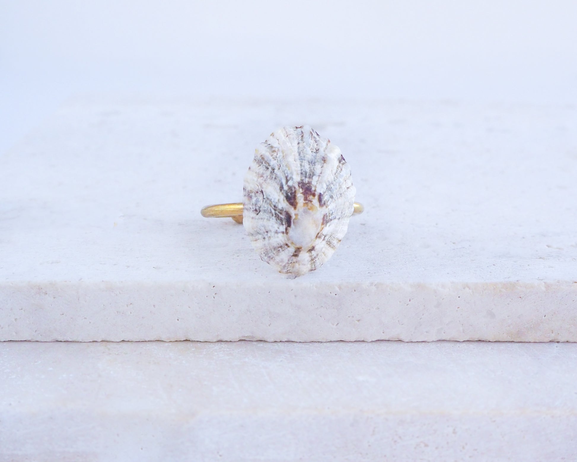 Limpet Shell Gold Ring from Portugal on display