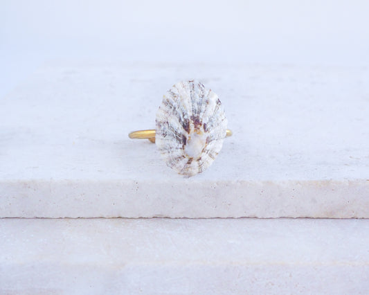 Limpet Shell Gold Ring from Portugal on display