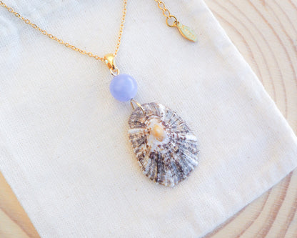 Limpet Shell Necklace with Blue Angelite Gemstone on display