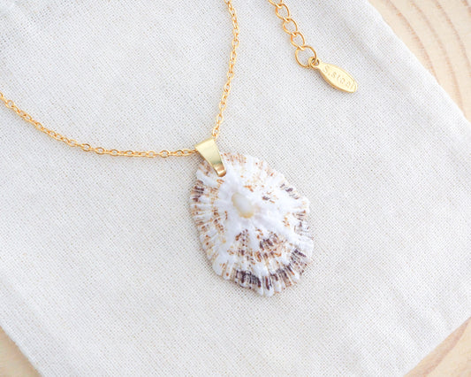 Gold Light Limpet Shell Gold Necklace from Portugal on display