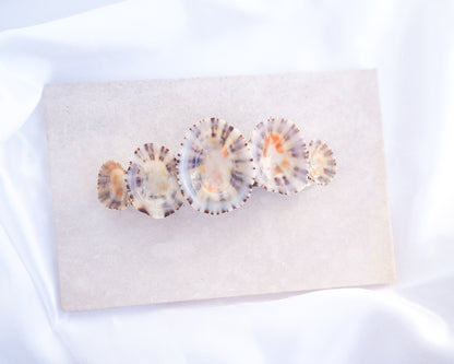 Limpet Shells Hair Clip Barrette on stone displayed, Boho Seashell Beach Clip from Portugal, Handpicked Real Shells, Seashell Hair Decoration, Bohemian Seashell Wedding Hair Assocciares, Coastal Christmas gift, Beach Wedding Hair