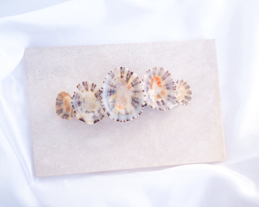 Limpet Shells Hair Clip Barrette on stone displayed, Boho Seashell Beach Clip from Portugal, Handpicked Real Shells, Seashell Hair Decoration, Bohemian Seashell Wedding Hair Assocciares, Coastal Christmas gift, Beach Wedding Hair