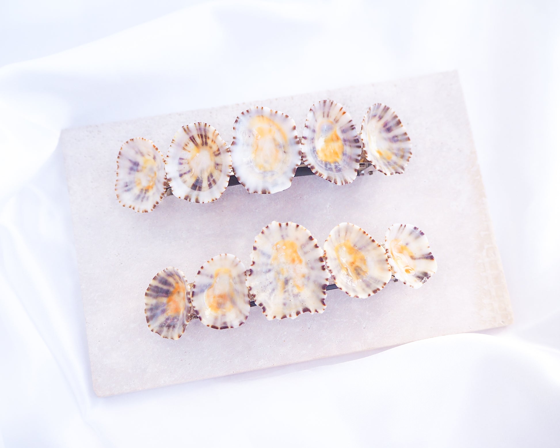 Limpet Shells Hair Clip Barrette on stone displayed, Boho Seashell Beach Clip from Portugal, Handpicked Real Shells, Seashell Hair Decoration, Bohemian Seashell Wedding Hair Assocciares, Coastal Christmas gift, Beach Wedding Hair