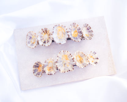 Limpet Shells Hair Clip Barrette on stone displayed, Boho Seashell Beach Clip from Portugal, Handpicked Real Shells, Seashell Hair Decoration, Bohemian Seashell Wedding Hair Assocciares, Coastal Christmas gift, Beach Wedding Hair