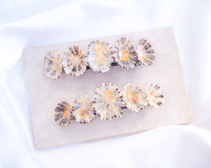 Set of shell-shaped hair clips on a white background. Limpet Shells Hair Clip Barrette on stone displayed, Boho Seashell Beach Clip from Portugal, Handpicked Real Shells, Seashell Hair Decoration, Bohemian Seashell Wedding Hair Assocciares, Coastal Christmas gift, Beach Wedding Hair