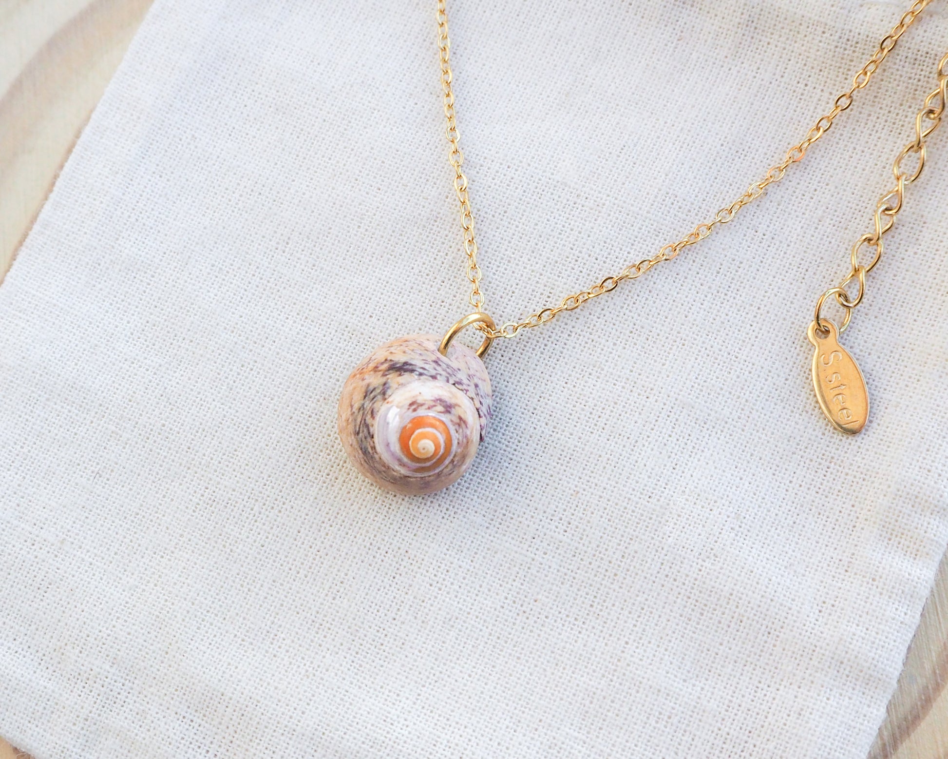Close up of Lined Top Shell Gold Necklace, Shell from Portugal on display
