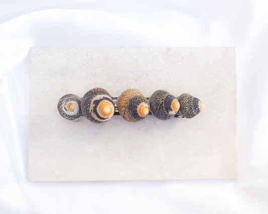 Lined Top Shells Hair Clip Barrette on stone displayed, Seashell Beach Clip from Portugal, Handpicked Real Shells, Seashell Hair Decoration, Mermaid Wedding Hair Assocciares, Coastal Christmas gift, Beach Wedding Hair