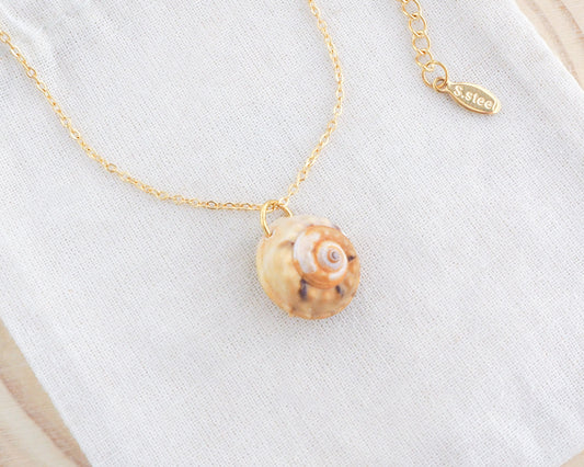 Side view of Gold Magus Top Shell Necklace on display. A gold chain necklace featuring a small, spiral seashell pendant. The pendant is beige and brown, with a detailed pattern. The necklace is displayed against a white background.