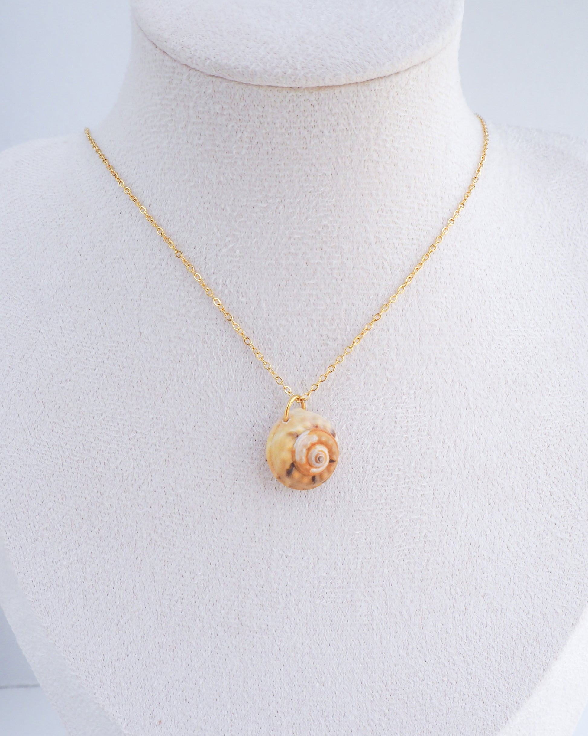 Neck display with Gold Magus Top Shell Necklace. A gold chain necklace featuring a small, spiral seashell pendant. The pendant is beige and brown, with a detailed pattern. The necklace is displayed against a white background.
