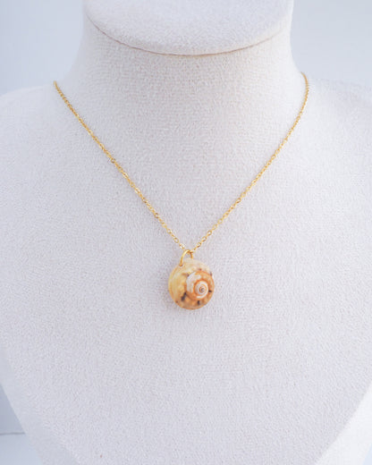 Neck display with Gold Magus Top Shell Necklace. A gold chain necklace featuring a small, spiral seashell pendant. The pendant is beige and brown, with a detailed pattern. The necklace is displayed against a white background.