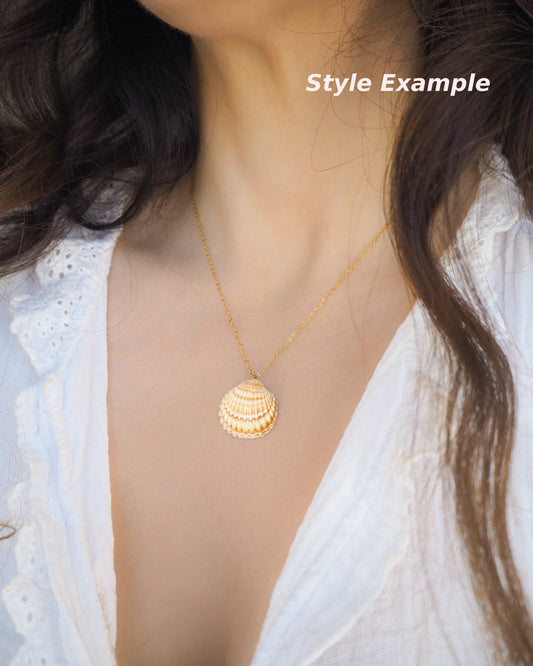 SEASHELL NECKLACE ~ Mediterranean Cockle Shell XX
