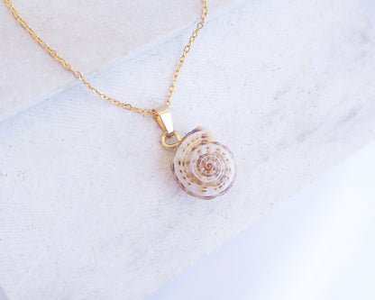Mediterranean Coastal Snail Gold Necklace IV, Caracol, Sand Snail from Portugal on display
