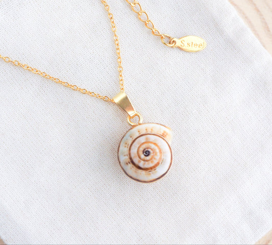Gold Mediterranean Coastal Snail Necklace, Caracol, Sand Snail on display
