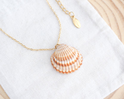 Mediterranean Cockle Shell Gold Necklace XIII on display