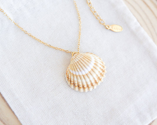 Mediterranean Cockle Shell Gold Necklace from Portugal 