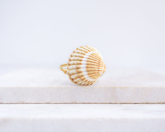 Horizontal Mediterranean cockle shell ring from Portugal on stone displayed, beach surf girl jewelry, gold ring with Portuguese cockle shell, ocean inspired beach jewelry, sunny yellow orange shell from Algarve
