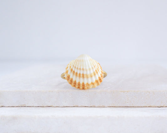 Handcrafted Mediterranean cockle shell ring VII from Portugal on stone displayed, beach surf girl jewelry, gold ring with Portuguese cockle shell, ocean inspired beach jewelry 