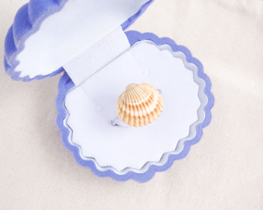Handcrafted Silver Mediterranean cockle shell ring from Portugal in jewelry box displayed, beach surf girl jewelry, silver adjustable ring with Portuguese cockle shell, ocean inspired beach jewelry 