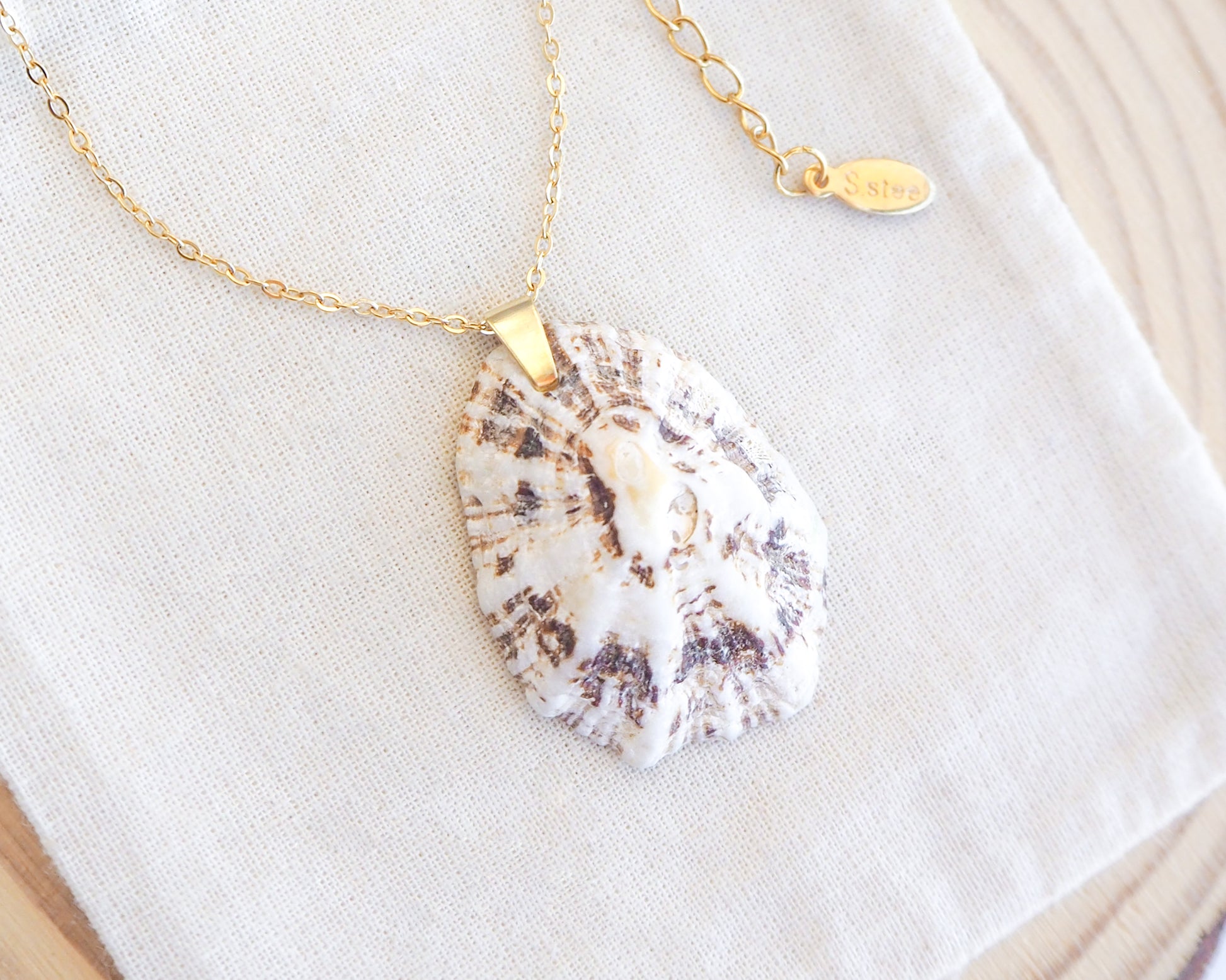 White Brown Mediterranean Limpet Shell Gold Necklace on display